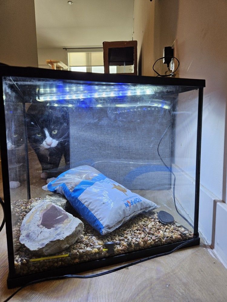 ~5 Gallon Fish Tank