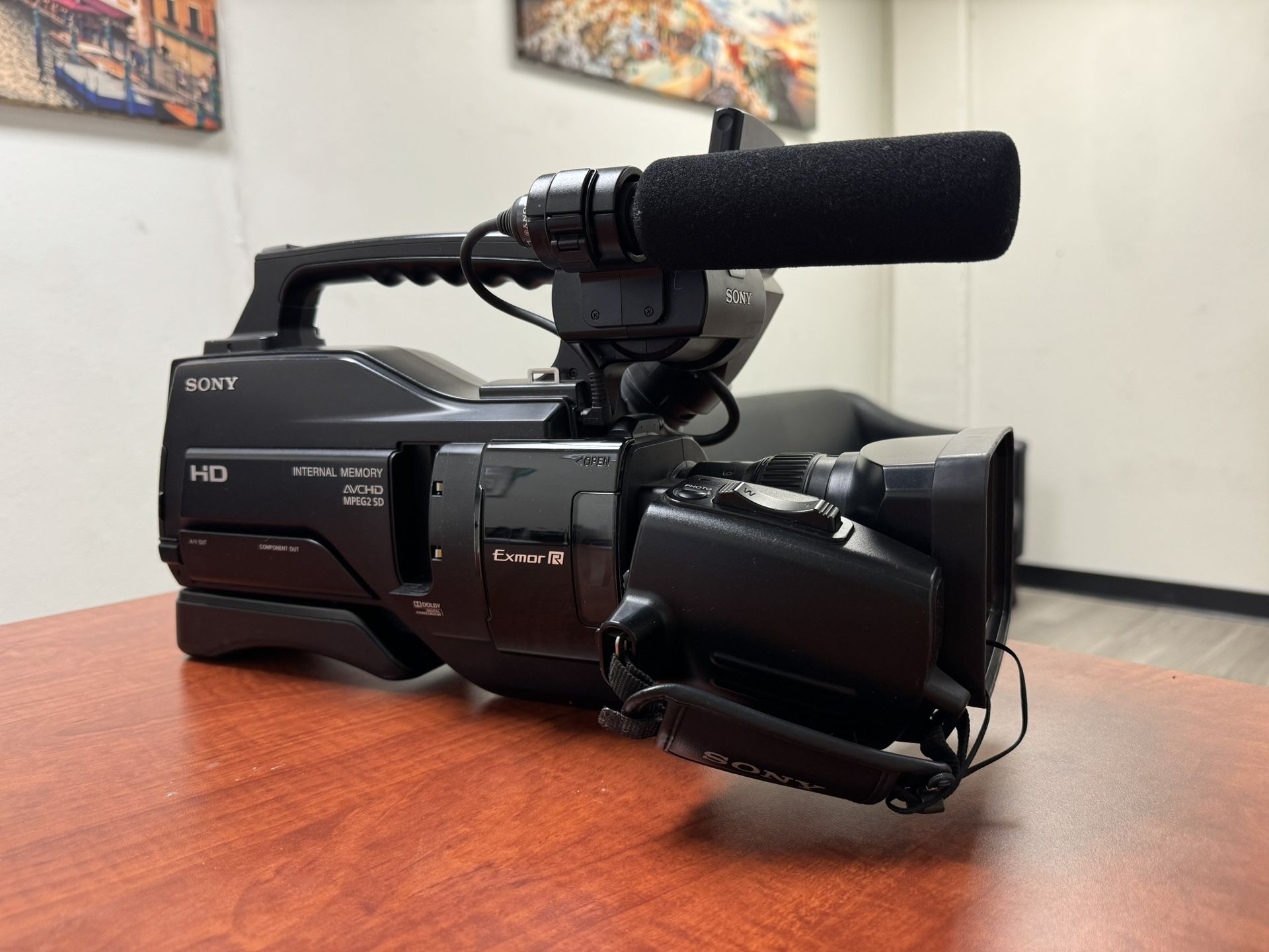 PROFESSIONAL VIDEO CAMERA
