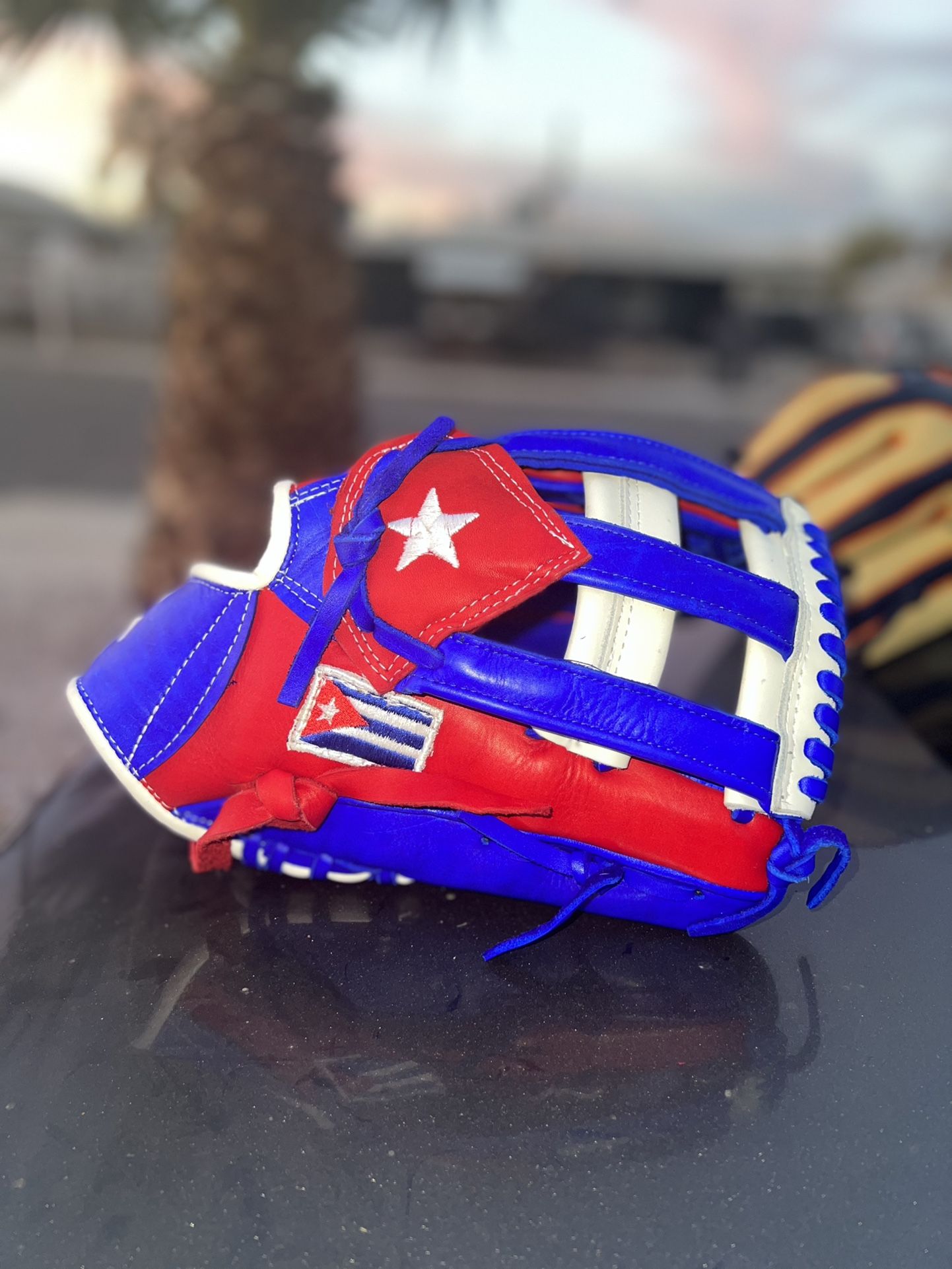 Baseball Glove