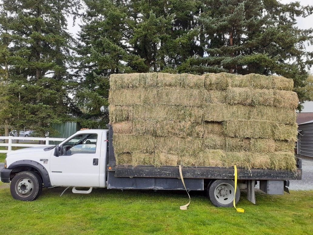 Alfalfa 100lb Bales