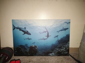 Wall art !