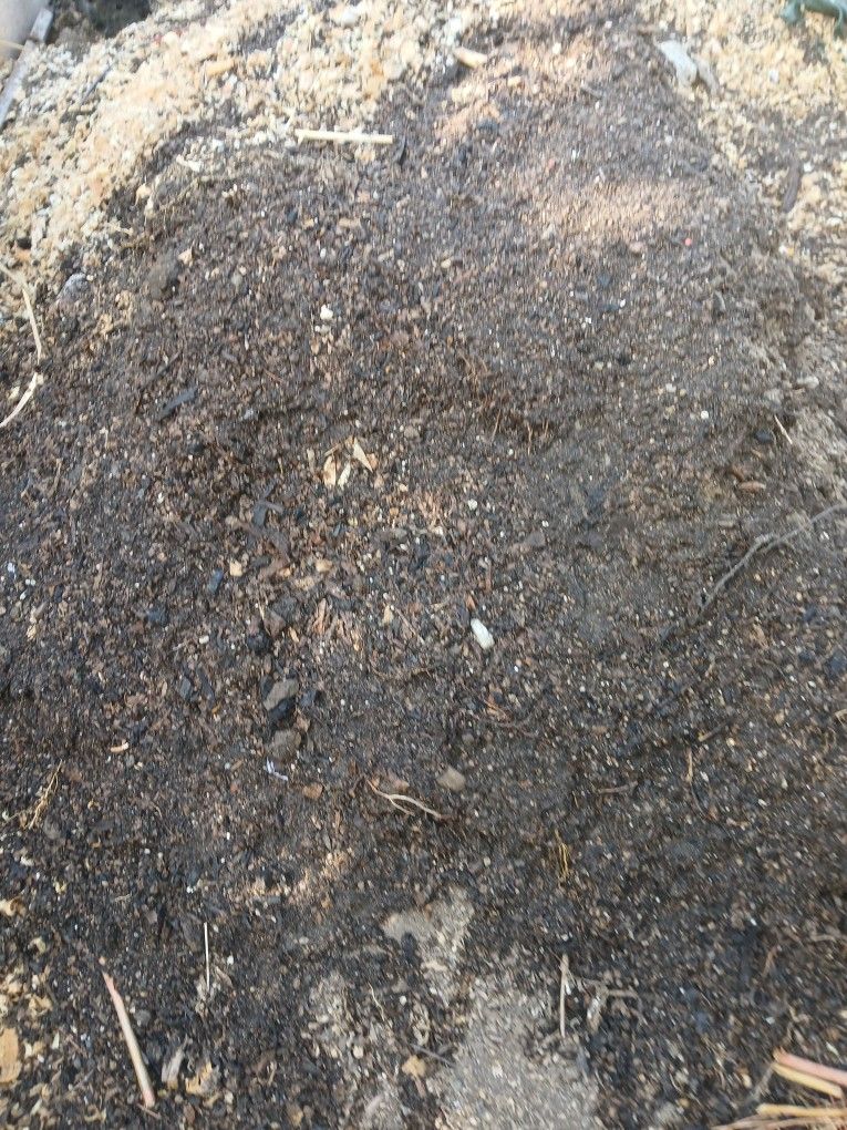 Organic Growth Plant Root Stimulator +++