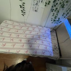 Twin Bed And Mattress 