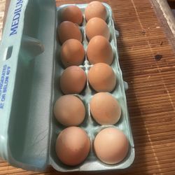 Fresh Eggs For Sale 5 Dozen Left $ 6  Dazen 