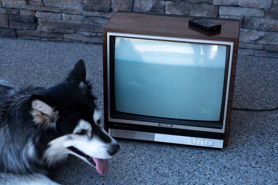 Restored Vintage 1980s Toshiba Blackstripe TV
