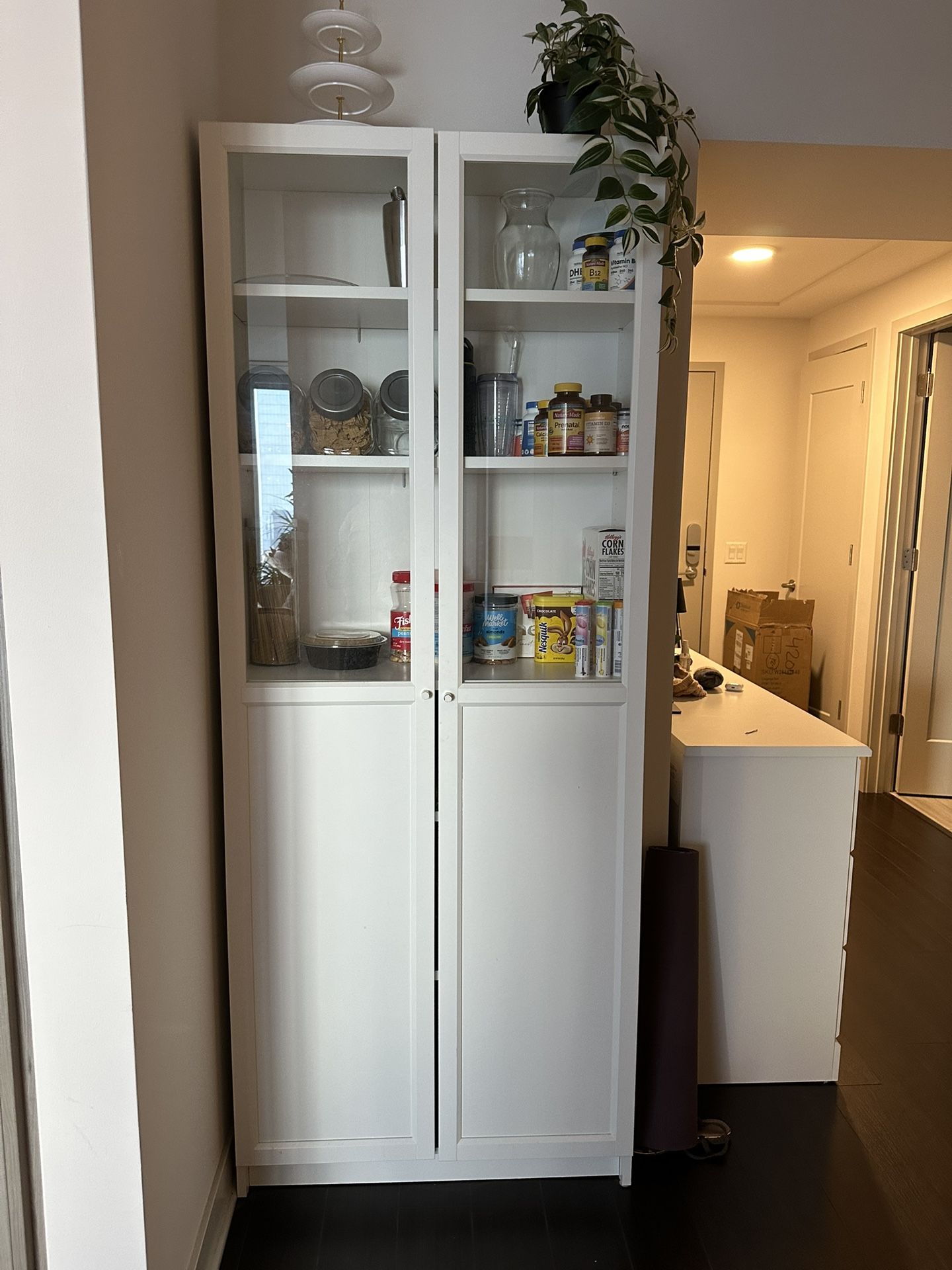 Kitchen Cabinet - Storage