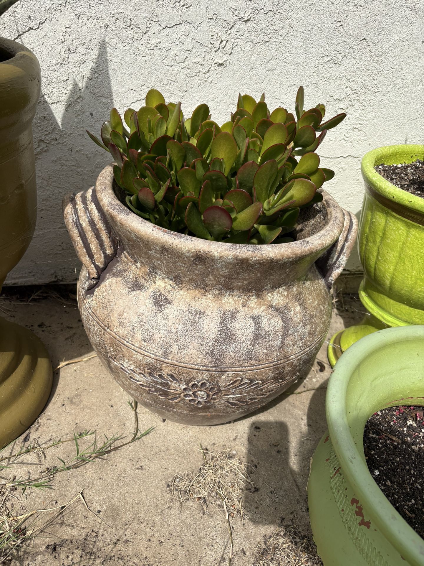 1 Large Pot $35