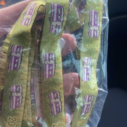 Stagecoach RV Wristband 