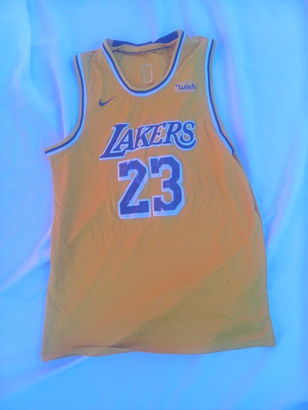 Vintage LeBron James Lakers  Jersey 