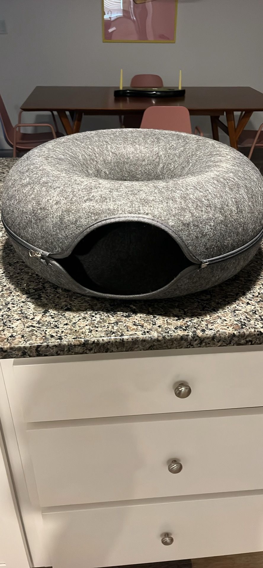 Cat Tunnel Donut