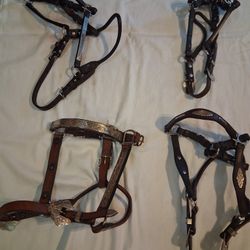 Show Halters with Silver