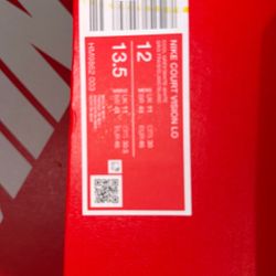 Nike Court Vision Lows (Grey Color)