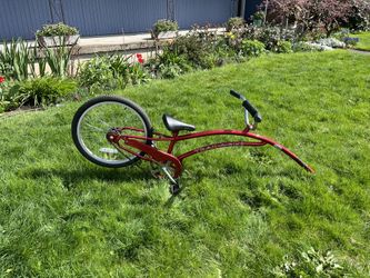 Tag Along Bike