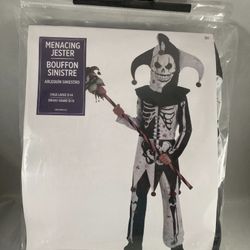 Menacing Jester, Halloween Costume horror, child, medium, large, and extra large