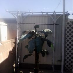 Fake Plant And  Metal Stand 