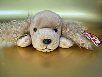 Spunky the Cocker Spaniel Beanie Baby