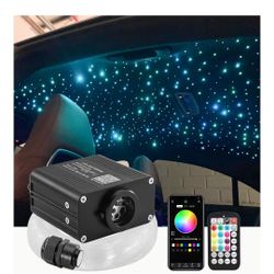16W Starlight Headliner Kit 300pcs 0.03in 6.5ft, Twinkle & Music Mode, Control by Bluetooth App/RF Remote Control, Car Plug & Power Adapter, PG Connec