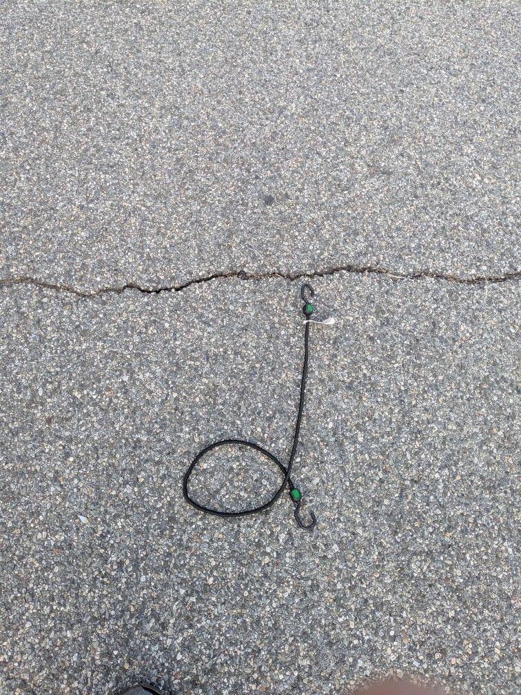 Bungee Cord