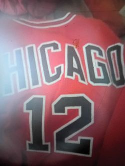 Chicago bulls jersey signed