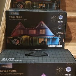 Govee Lights
