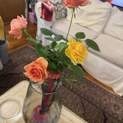 Colorful Real Roses Plant With Vase