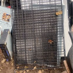 Dog Kennel 