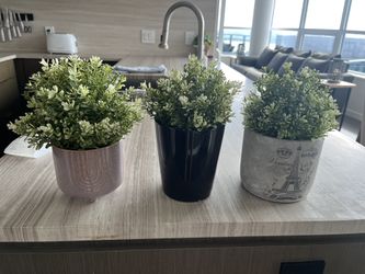 Faux Plants And Pots