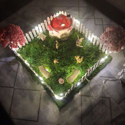 Fairy Garden