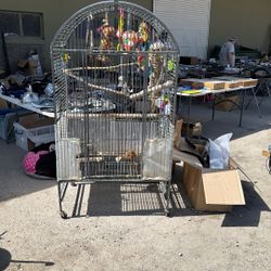 Bird Cage 