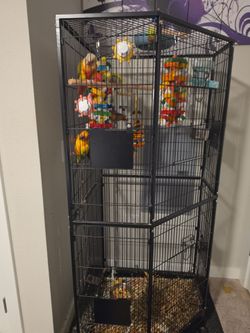 Large bird cage