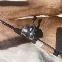 Fishing Zebco Vintage 33 Model Combo Rod