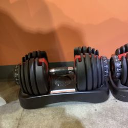Bowflex Adjustable Weights 