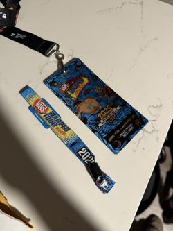 2 Day VIP ticket for warped tour long beach