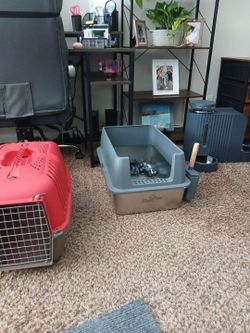 Bare Paw High-Sided Cat Litter Box with Scoop