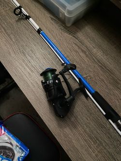 Shakespeare Tiger Reel and Pole