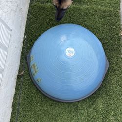 Bosu Ball 