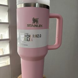 Pink Stanley 