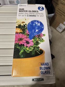 Water Globes Self Watering For Plants 