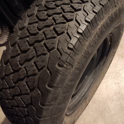 Brand New Tire