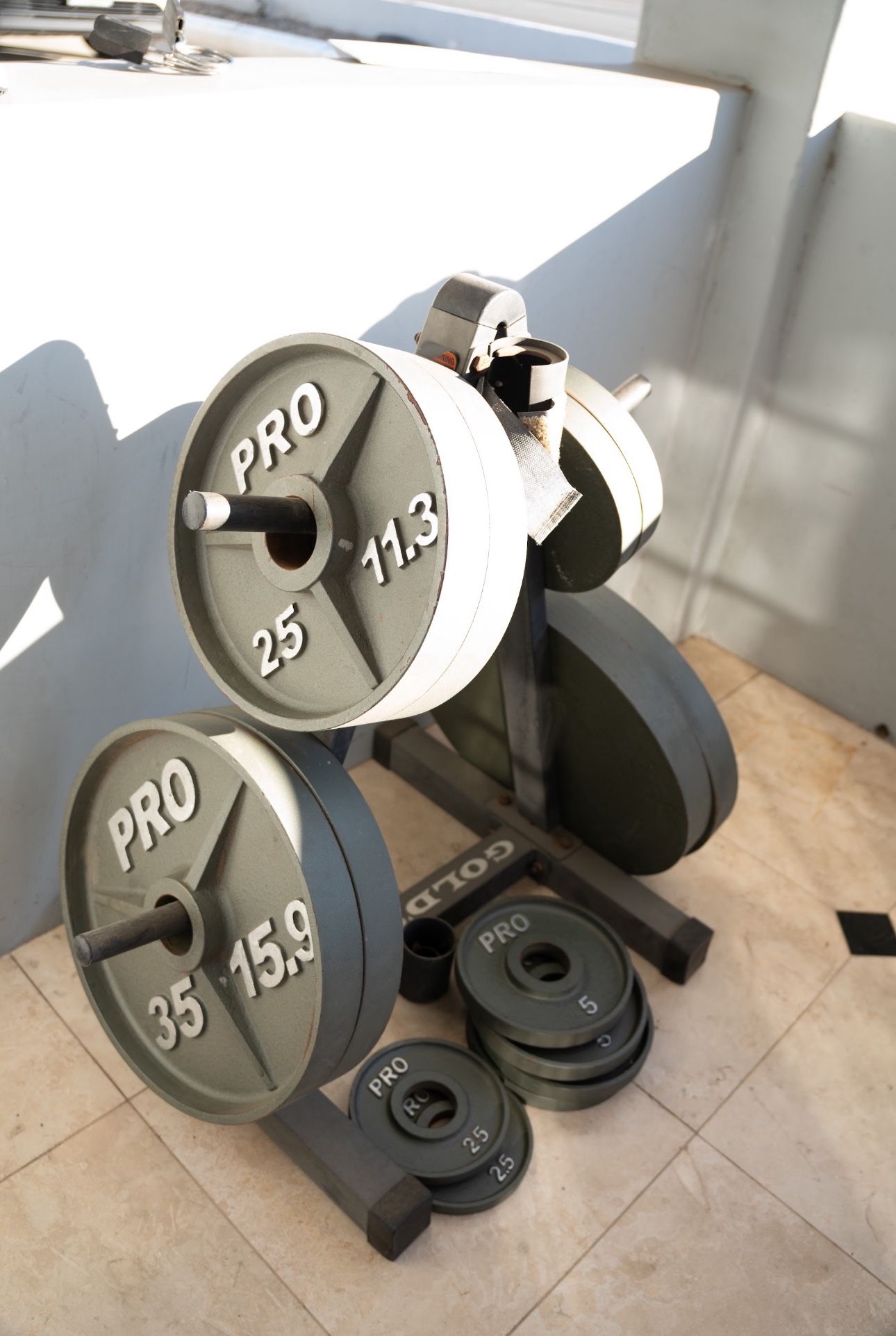 Olympic Plate Set 255 LBS
