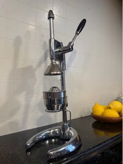 Hand press juicer