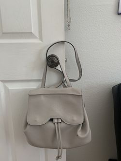 Backpack/purse
