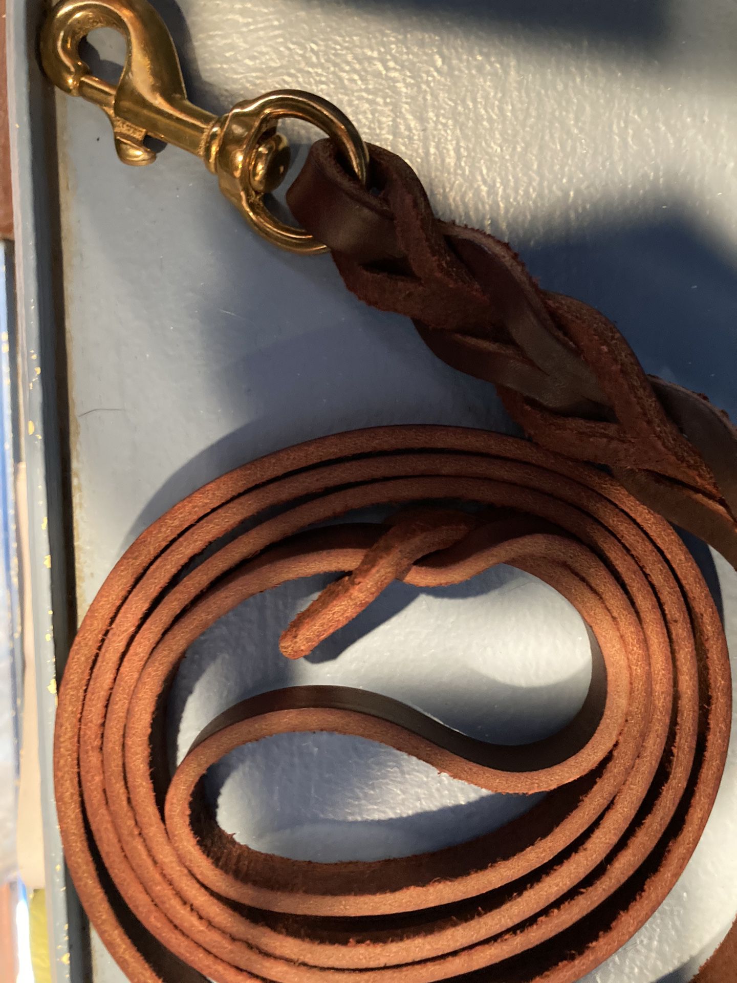 Leather Leads For Animals