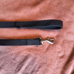 FREE DOG LEASH