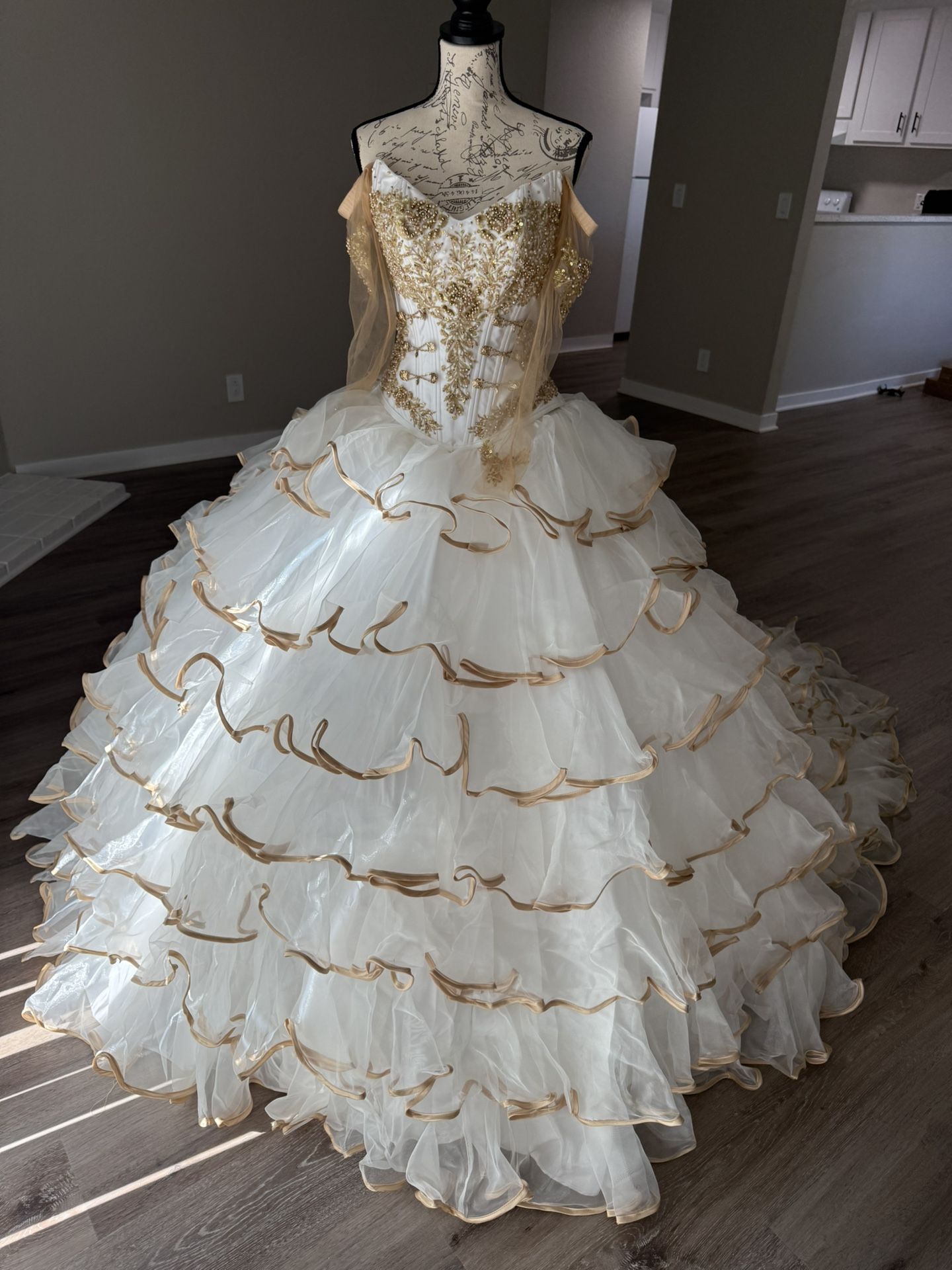 Quinceañera Dress/Wedding Dress Size 6