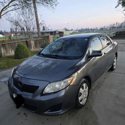 Corolla Toyota 2010