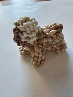 Seashell decor