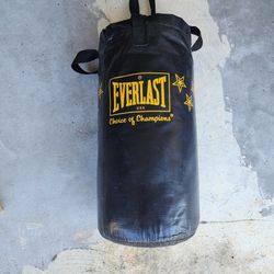 Small Everlast Punching Bag