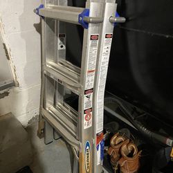 Werner MT-13 Adjustable Ladder