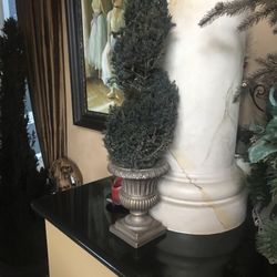 Tuscan Tree